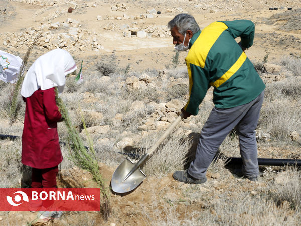 آیین روز درختکاری در شیراز