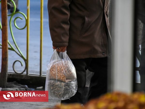 شور  یلدای در آخرین ایستگاه  پاییز