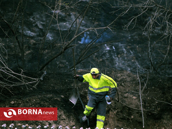 آتش سوزی تپه های اطراف اوین- تهران