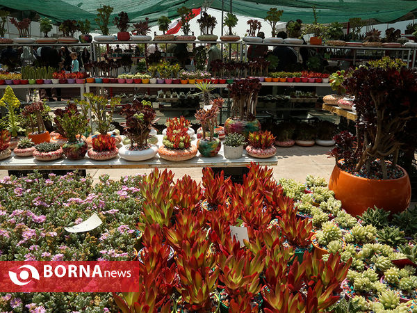 هفدهمین نمایشگاه بین المللی گل و گیاه