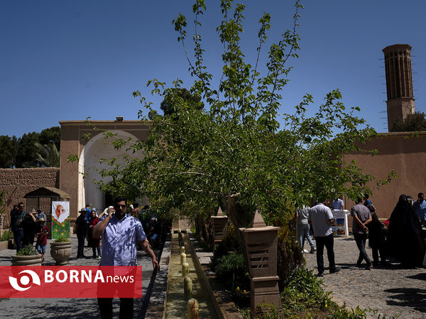 باغ دولت‌آباد یزد