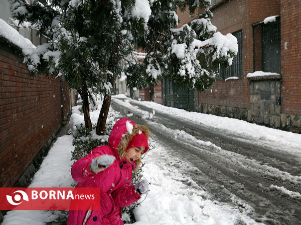 بارش برف در تهران -2