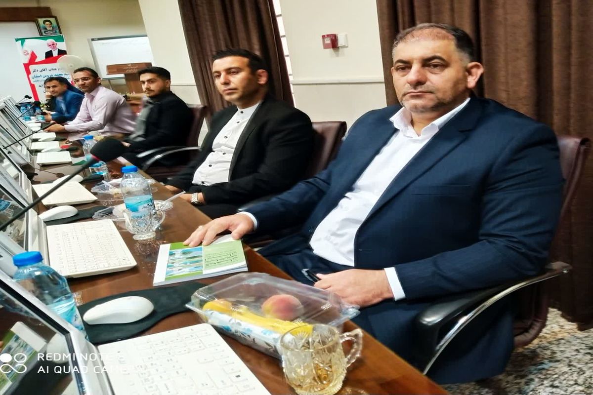 رئیس هیات جانبازان و معلولین لرستان انتخاب شد