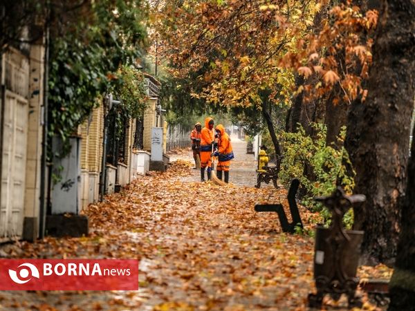 شيراز زیبای بارانی
