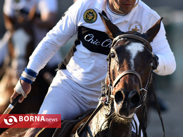 رقابتهای چوگان جام فجر گرامیداشت یاد شهدای آتش نشان حادثه پلاسکو