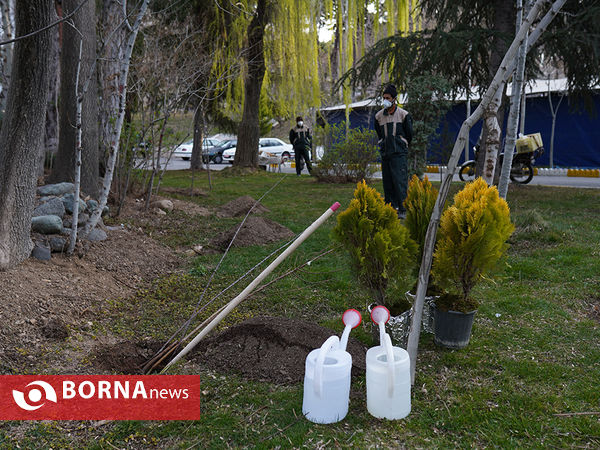 رونمایی از سامانه جامع مدیریت زمین با حضور معاون اول رئیس جمهوری