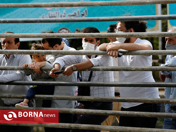 گرامیداشت روز ارتش در شیراز