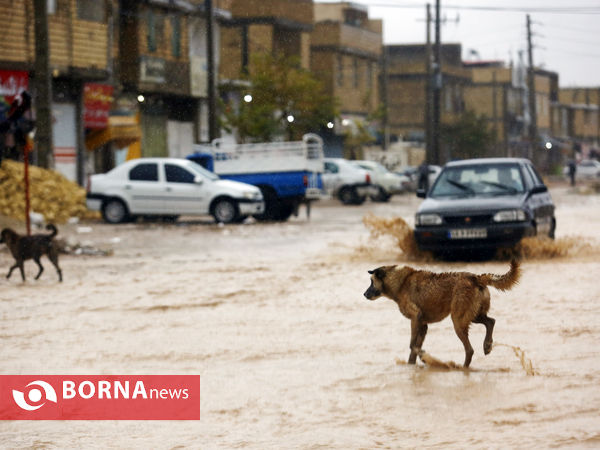روستاهای اطراف شیراز روی آب