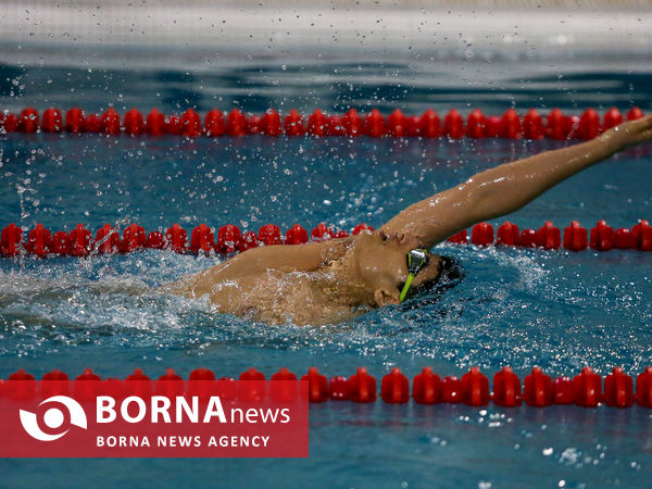 افتتاحیه مسابقات شنا مسافت کوتاه جام ولایت امام رضا(ع)