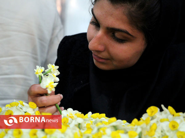 نمایشگاه گل و گیاه-شیراز