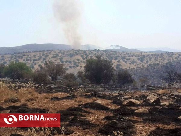 آتش سوزی در جنگل های پاسارگاد
