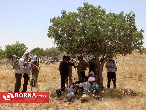 مهار آتش در ارتفاعات پاسارگاد