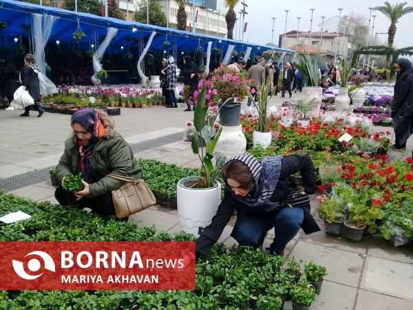 جشنواره گل و گیاه رشت 