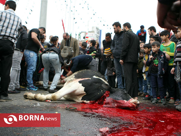 اجتماع بزرگ فاطمیه- شهر قدس