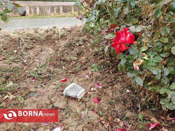 پارک و ساحل را زباله نکنیم