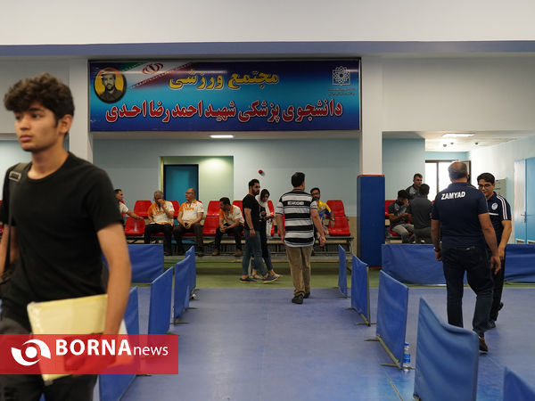 اولین دوره لیگ برتر دارت