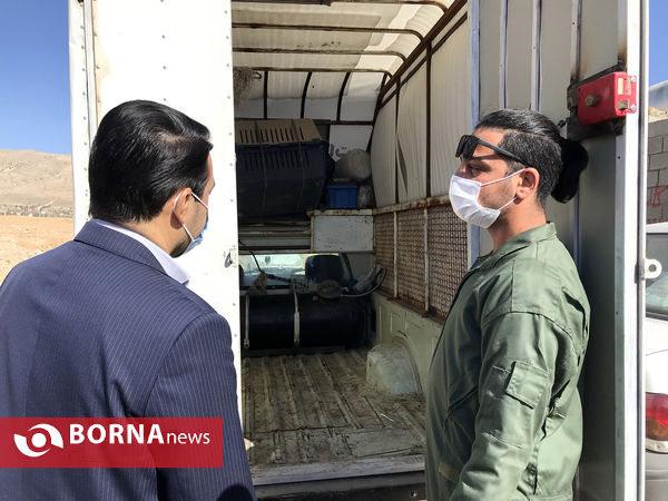 پناهگاه حیوانات در شیراز؛ جایی برای دوستی انسان و حیوان