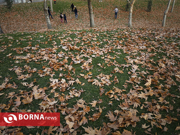 واپسین روزهای پاییزی تهران