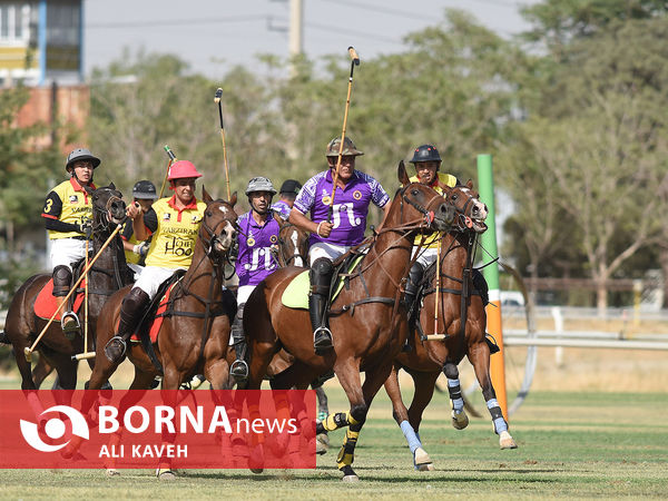 لیگ  ملی چوگان