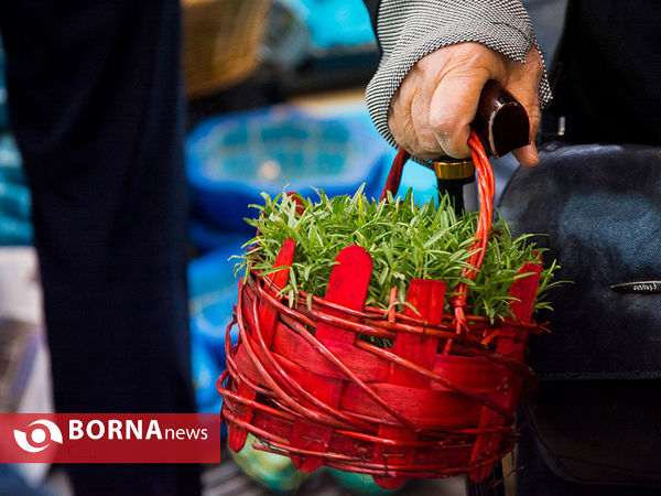 تهران در روزهای پایانی سال
