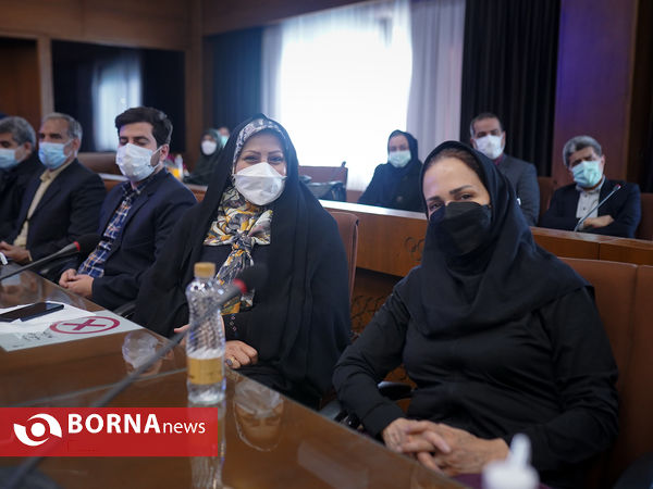 تجلیل از مهین فرهادی زاد