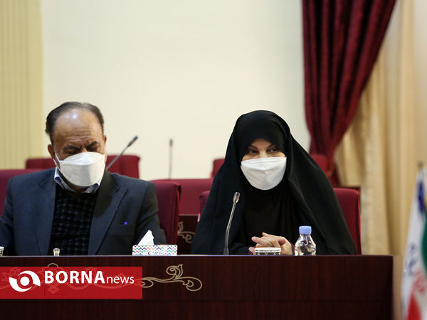 دیدار استاندار و نمایندگان کرمان در مجلس شورای اسلامی با وزیر ورزش و جوانان