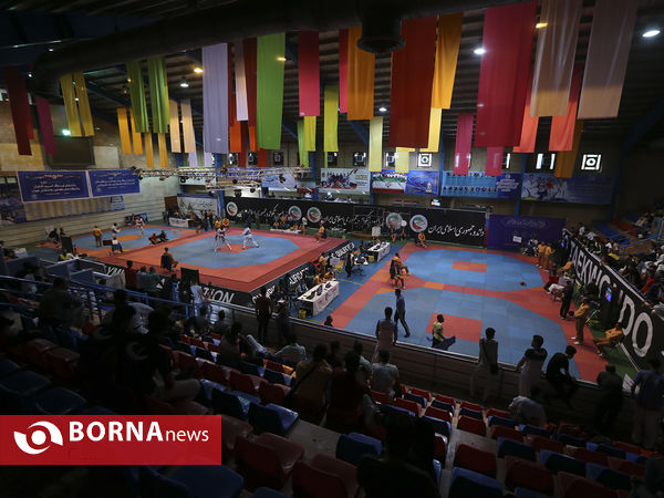 لیگ برتر تکواندو
