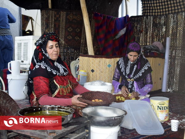 جشنواره ملی پویا نمایی در کرمانشاه