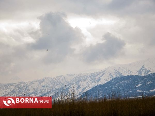 زریبار کردستان