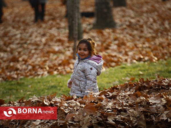واپسین روزهای پاییزی تهران