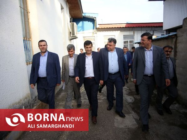 بازدید وزیر جهاد کشاورزی از ظرفیت های کشاورزی و شیلاتی بندرانزلی