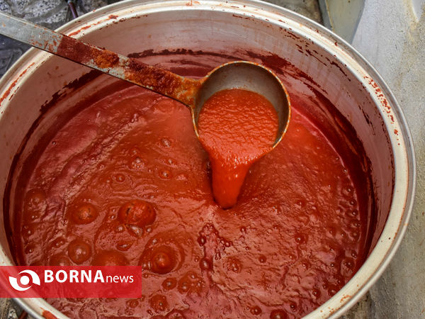 ماه منیر بانوی موفق کارآفرین