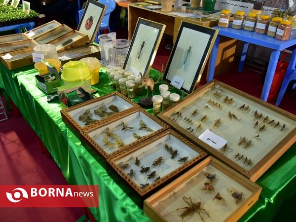 دوازدهمین نمایشگاه بین المللی کشاورزی ارومیه