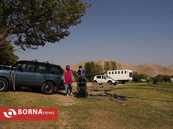 در حاشیه مسابقات چوگان قهرمانی استان تهران