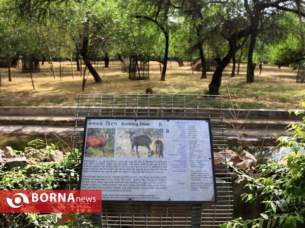 پارک ملی جانورشناسی دهلی نو