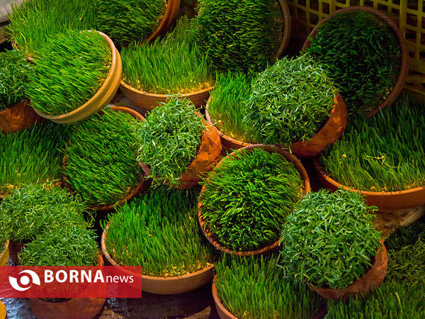 تهران در روزهای پایانی سال