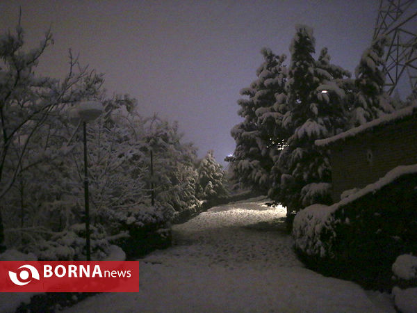 اولین برف زمستانی تهران