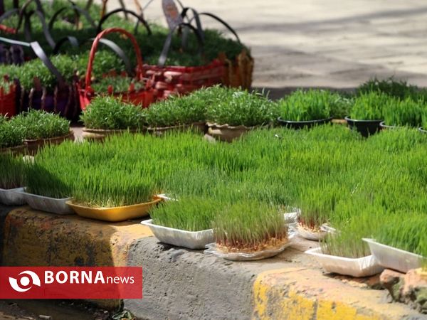 حال و هوای نوروزی در لاهیجان