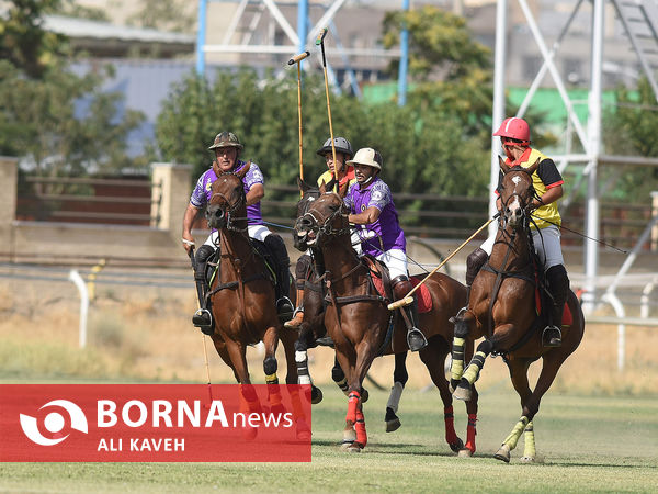 لیگ  ملی چوگان