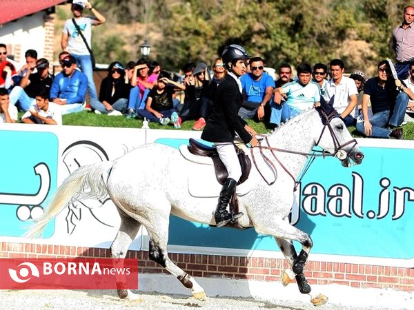 مسابقات پرش با اسب قهرمانی کشور بزرگسالان