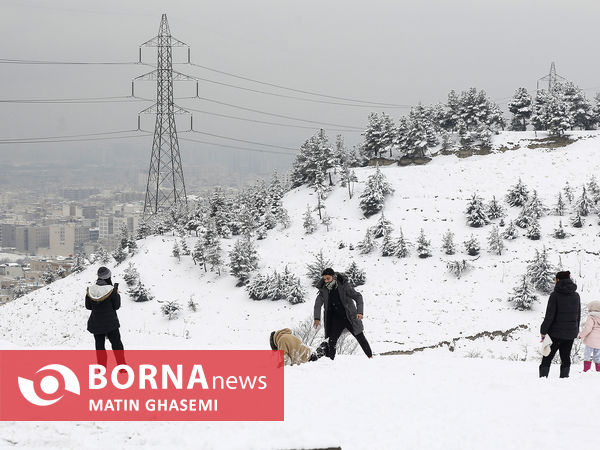 بارش برف در تهران