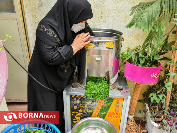 ماه منیر بانوی موفق کارآفرین