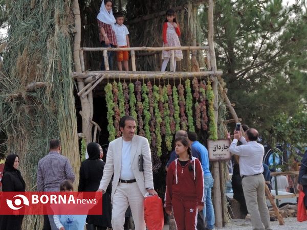 آئین افتتاح سومین جشنواره انگور ارومیه