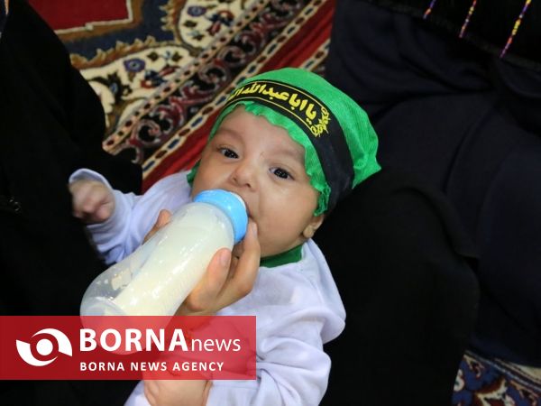 همایش شیرخوارگان حسینی در ساری