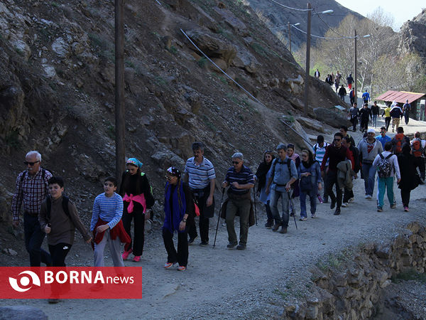 کوهپیمایی در ارتفاعت دارآباد تهران