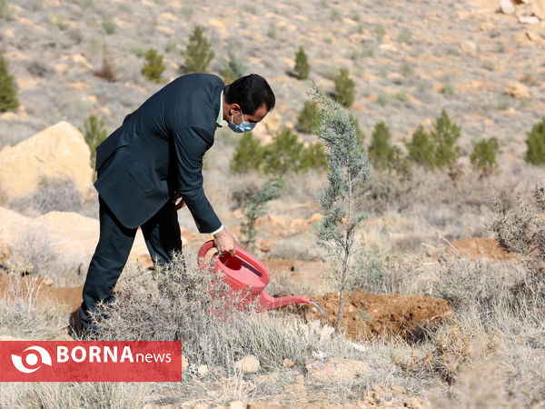 آیین روز درختکاری در شیراز