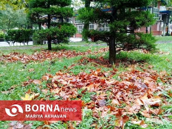 اولین بارش باران پاییزی در رشت _ مهرماه 1401