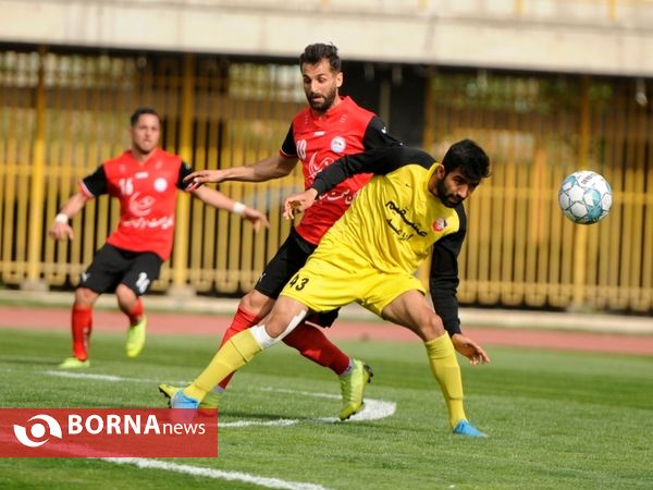 گل ریحان البرز - نود ارومیه