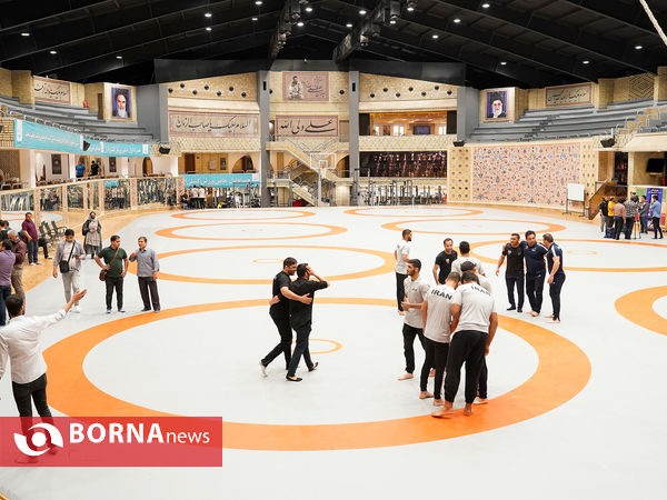 رونمایی از تصاویر برترین‌های ۱۰۰ سال کشتی ایران