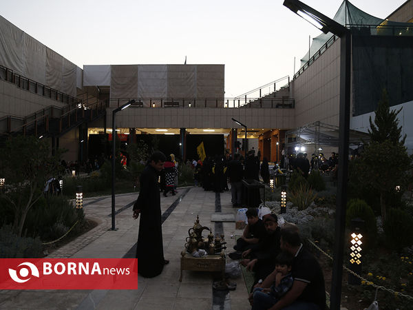 نمایشگاه عکس رویای بهشت
